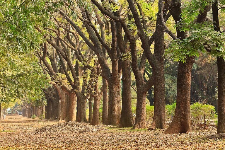 best kerala tour packages (1)