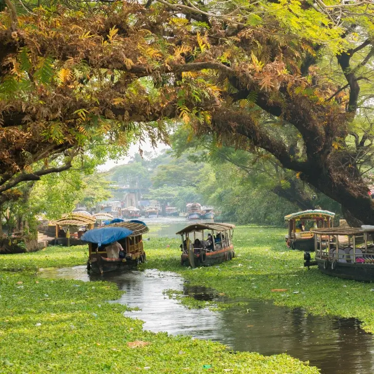 Alleppey