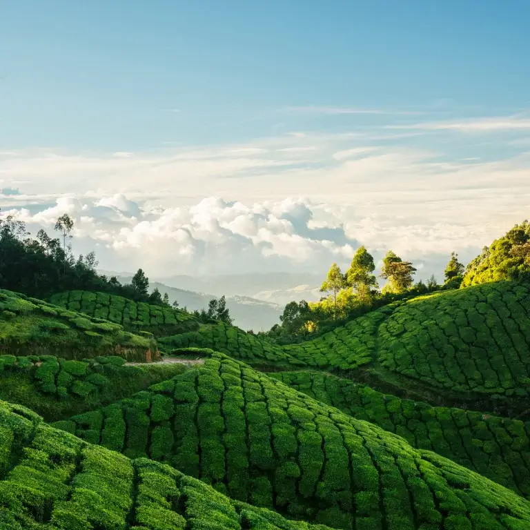 Munnar