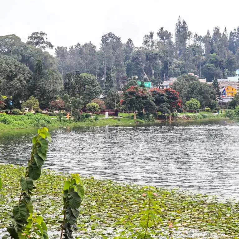 Yercaud