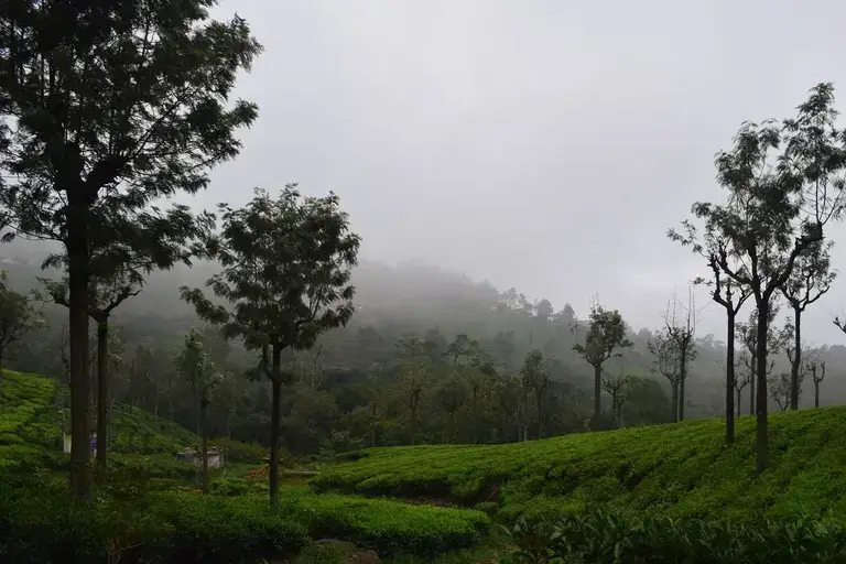 South India Tours and Travel Packages