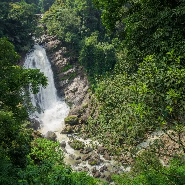 Lush waterfall surrounded by greenery