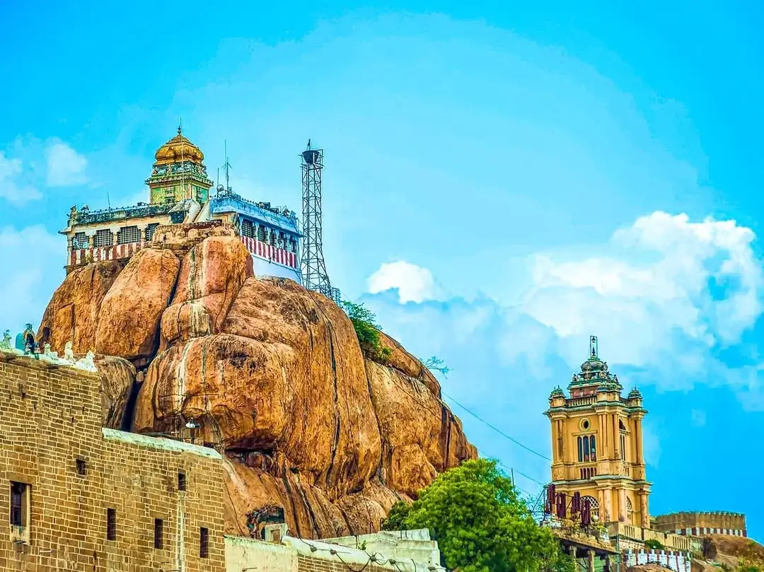 Tour guide with visitors at South India temple