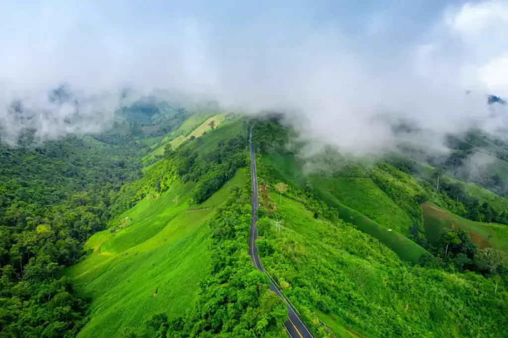 Misty Valparai hills and tea gardens